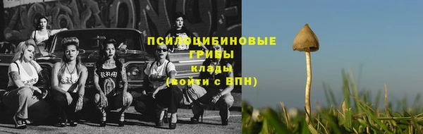 хмурый Вязьма