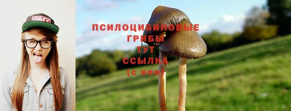 ECSTASY Володарск