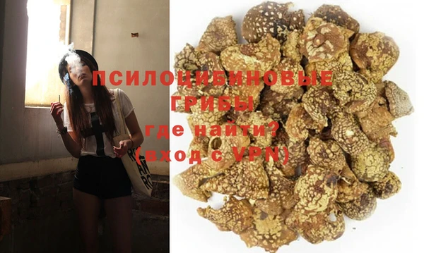хмурый Вязьма
