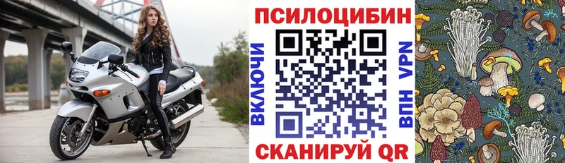 Галлюциногенные грибы GOLDEN TEACHER  Добрянка 